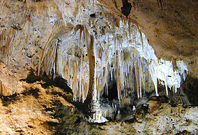 The forces of water decorated the cave in an almost endless array of spectacular limestone formations such as this column and array of stalactites