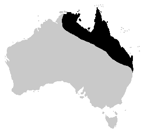 File:Bufo marinus australian range.png