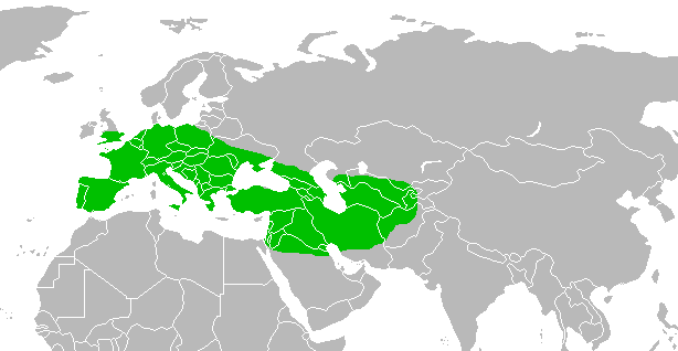 File:Range of Homo neanderthalensis.png
