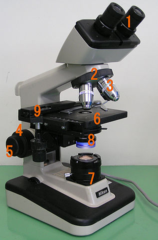 File:Optical microscope nikon alphaphot.jpg