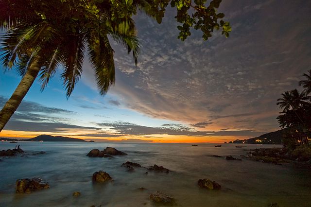 File:Palm tree at dawn, Patong beach.jpg