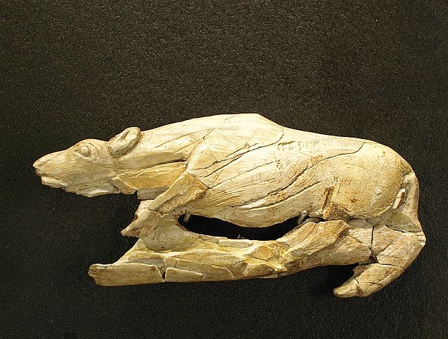 File:Speerschleuder LaMadeleine.jpg