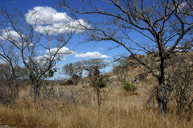 File:Landscape kruger-park.jpg