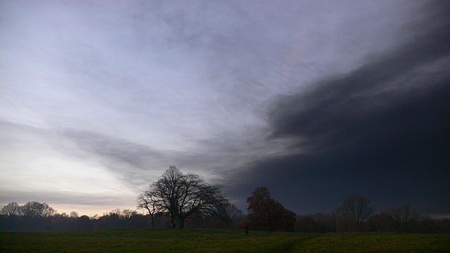 File:Hampstead Heath airborne toxic event.jpg