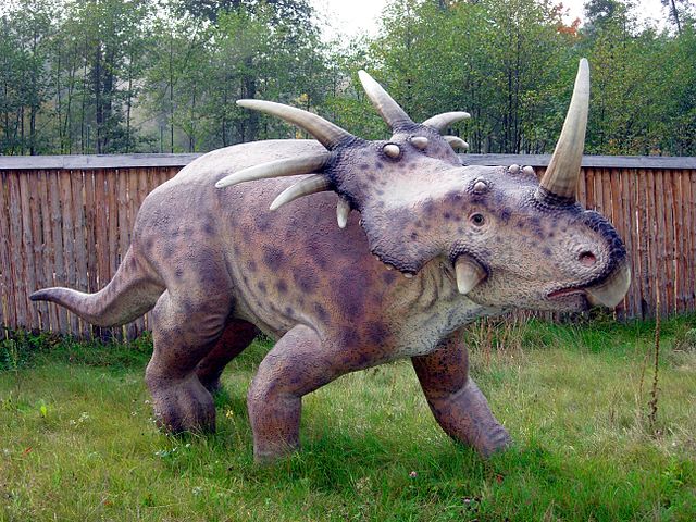 File:Styracosaurus Baltow 20051003 1315.jpg