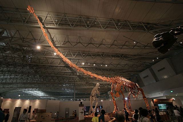 File:Mamenchisaurus in Japan.jpg