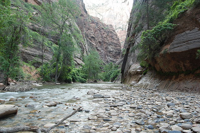 File:Start of Zion Narrows trail.jpg