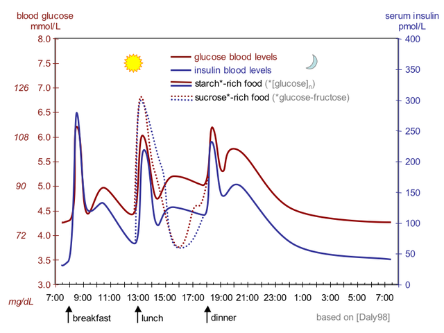 File:Suckale08 fig3 glucose insulin day.png