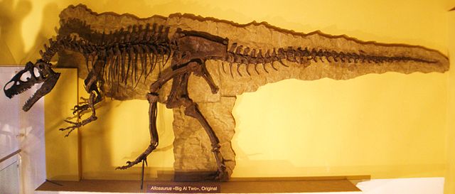 File:Allosaurus 1.jpg
