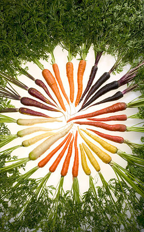 File:Carrots of many colors.jpg