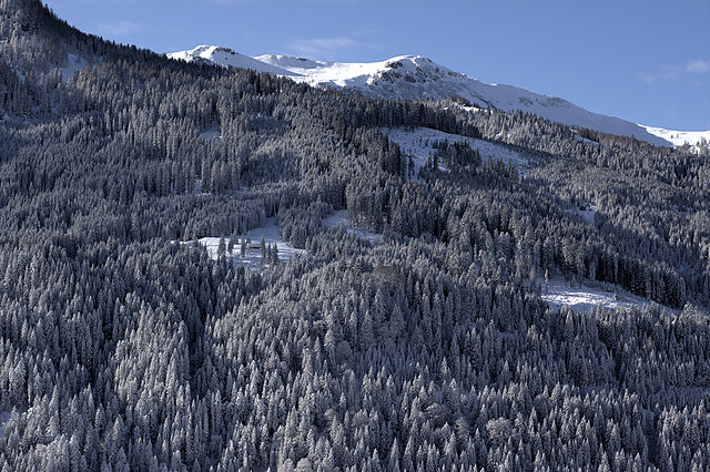 File:KleinarlWinterwonderland.jpg