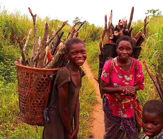 File:Basankusu collecting firewood by Francis Hannaway.jpg