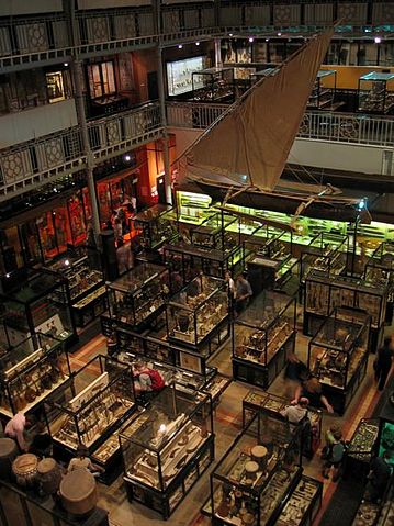 File:Pitt-rivers-m2.jpg
