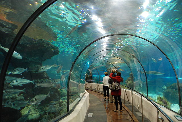 File:Tunnelaquarium 14-05-2009 15-54-09.JPG