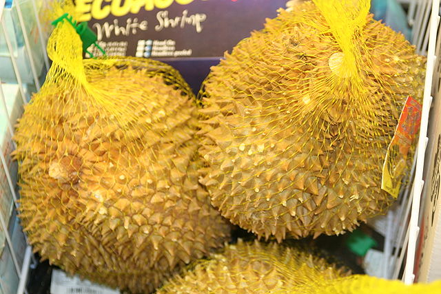 File:Durians in mesh bags.jpg