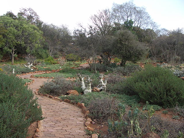 File:South Africa-Pretoria-National Botanical Gardens03.jpg