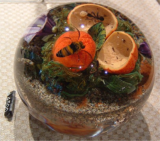 File:Paperweight, Corning Museum of Glass.jpg