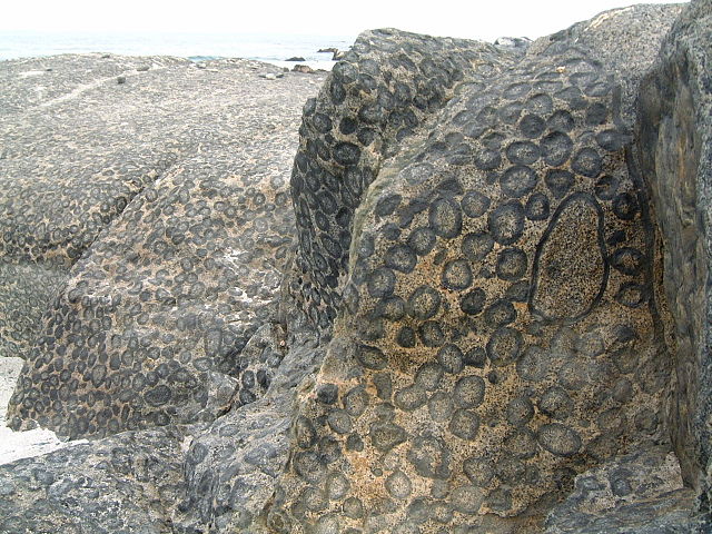 File:2005.11.08 005 Granito Orbicular Caldera Chile.jpg