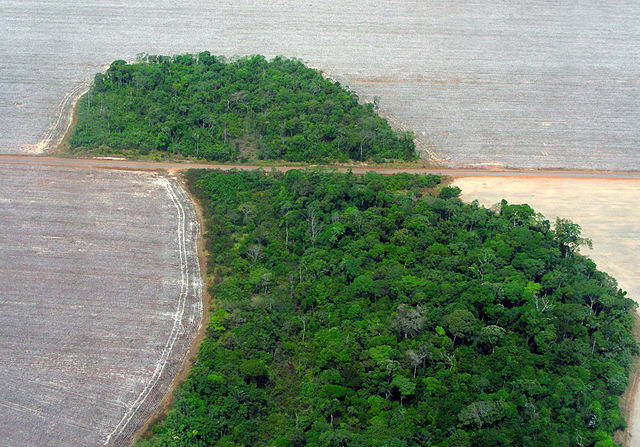 File:Mato Grosso deforestation (Pedro Biondi) 12ago2007.jpg
