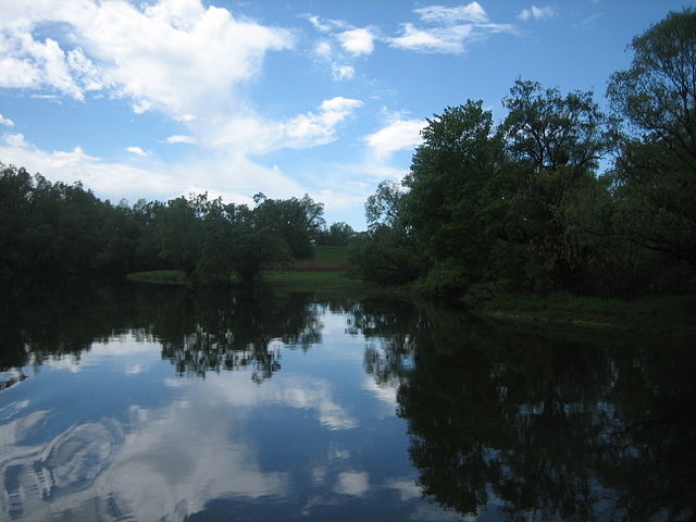 File:Kopacki rit2.JPG