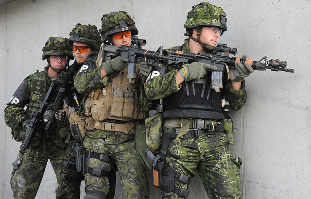 File:Danish Military Police.JPG