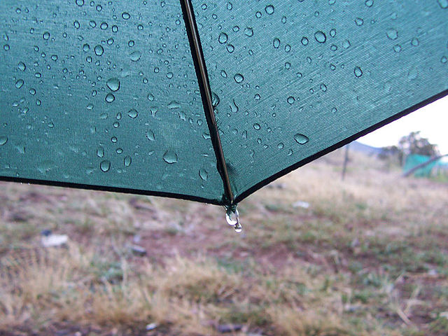 File:Umbrella with raindrops.jpg