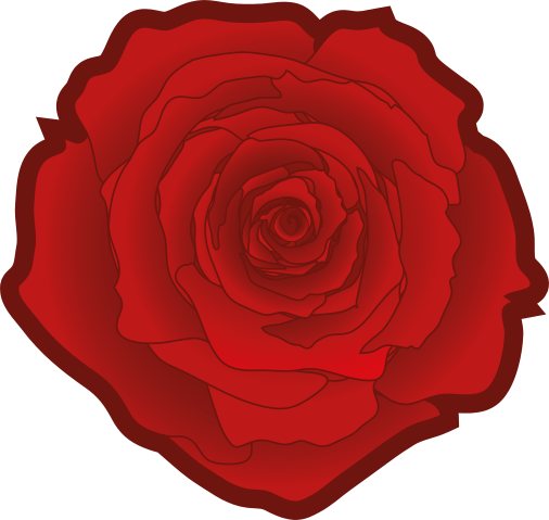 File:Red rose 02 -.jpg.svg
