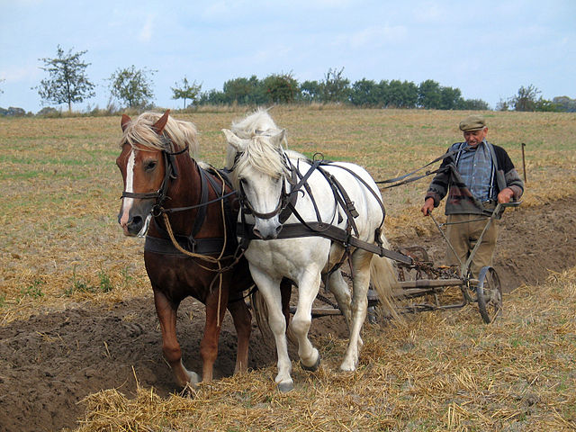 File:Farmer plowing in Fahrenwalde, Mecklenburg-Vorpommern, Germany.jpg