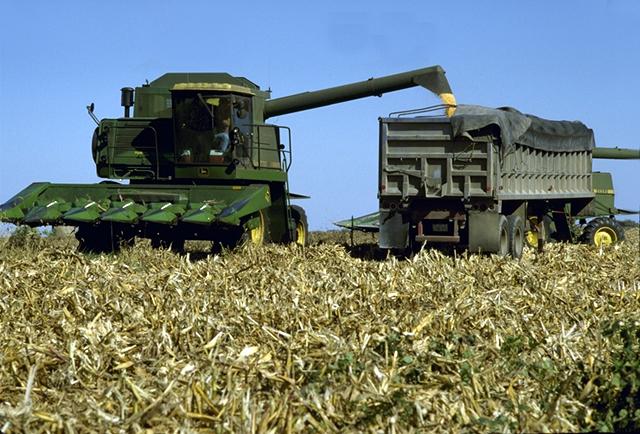 File:Combine-harvesting-corn.jpg